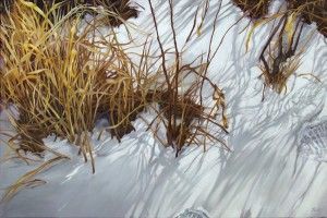 Lora Witt, Shadowy Tracks, oil, 20 x 30. 