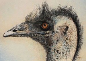 Gail Shelton, Not So Angry Bird, colored pencil, 15 x 22.