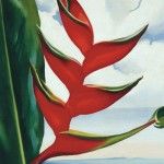 Georgia O’Keeffe, Heliconia—Crab Claw, 1939, oil on canvas, 19 x 16. Collection of Sharon and Thurston Twigg-Smith.