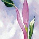 Georgia O’Keeffe, Pink Ornamental Banana, 1939, oil on canvas, 19 x 16. Collection of James M. Rosenfield in memory of Lois F. Rosenfield.