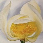 Georgia O’Keeffe, White Lotus, 1939, oil on canvas, 20 x 22, Muscatine Art Center, Iowa. Given in Honor of Elizabeth Mabel Holthues Stanley by her family.