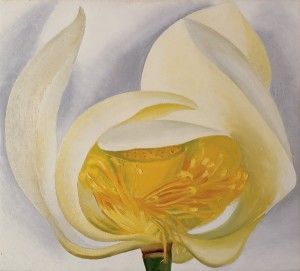 Georgia O’Keeffe, White Lotus, 1939, oil on canvas, 20 x 22, Muscatine Art Center, Iowa. Given in Honor of Elizabeth Mabel Holthues Stanley by her family.