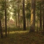 Deborah Paris, Last Light in the Woods, oil, 18 x 24.
