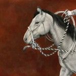 Nicole Viste, The Hackamore, Graphite drawing with painted Acrylic Background, 11 x 14.