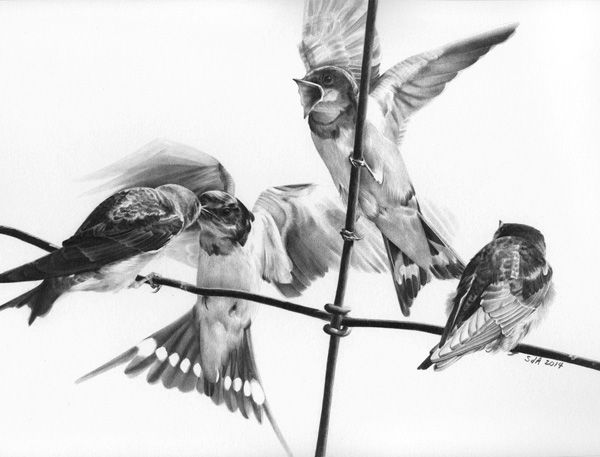 Sue deLearie Adair, Sibling Rivalry, graphite, 8 x 11. 
