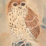 Perry Nichols, Owl, watercolor/ink, 13 x 10. Estimate: $2,000-$3,000.