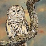 James Fiorentino, Barred Owl, watercolor, 30 x 22.