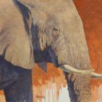 Paul Kratter, Elephant Portrait, oil, 16 x 20.