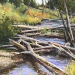 Aaron Schuerr, Lava Creek Tangle, pastel, 16 x 12.