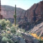 Matt Smith, Fish Creek Canyon, oil, 26 x 38.