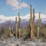 Matt Smith, Sonoran Winter, oil, 10 x 14.