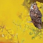 Mark Eberhard, Long-Eared Owl, oil, 24 x 24.