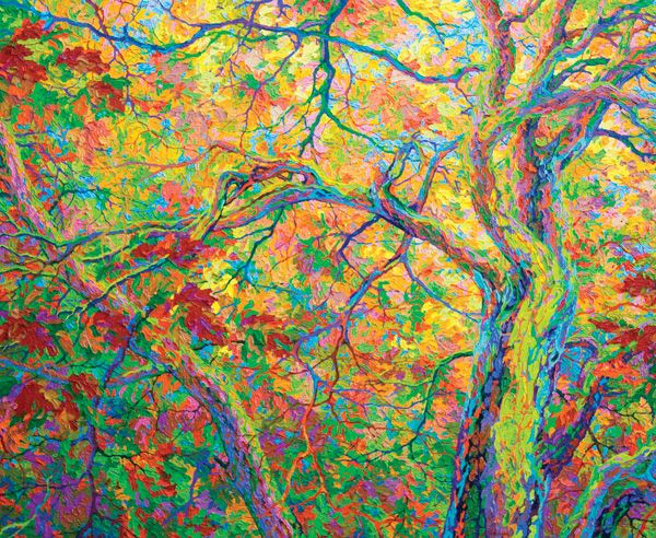 Frank Balaam, Balaam’s Wood Oak Canopy, oil, 46 x 56. 