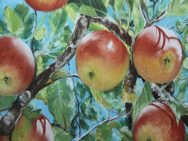 Jennifer Eubanks, Apples, pastel, 14 x 16. 