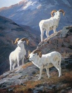 Ken Carlson, Rams of the Wrangells (2001), oil, 45 x 35. Collection of Ed Wright.