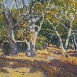 Rodolfo Rivademar, Sacred Grove, San Luis Obispo, CA, oil, 16 x 20.