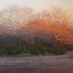 Jeri Salter, Last Light on Winter Trees, pastel, 24 x 36.