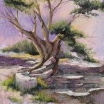 Jacquelyn Kammerer Cattaneo, Root or Rock?, pastel, 17 x 11.
