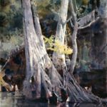 Dean Mitchell, Florida Cypress, watercolor, 15 x 10.