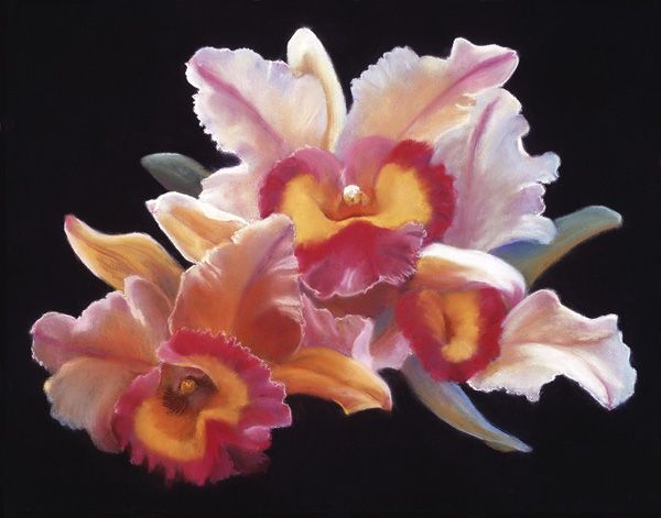 Vicki Penney-Rohner, Cattleya Orchid, pastel, 19 x 26.