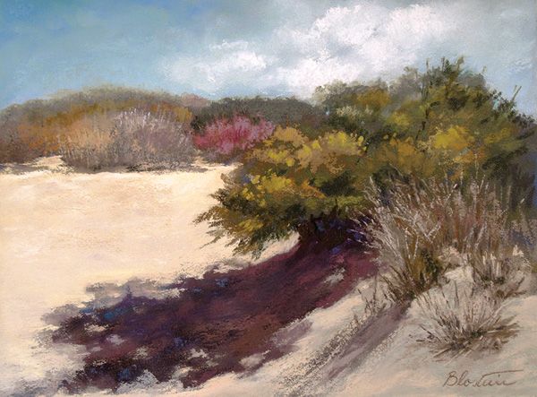 Sandy Blostein, Dune Shadows, pastel, 9 x 12.