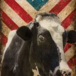 Mike Weber, Americana Cow, mixed media, 36 x 24.