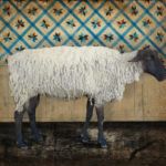 Mike Weber, Counting Sheep, mixed media, 21 x 24.