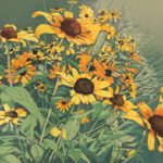 Sherrie York, Late Summer Blooms, reduction linocut, 12 x 18.