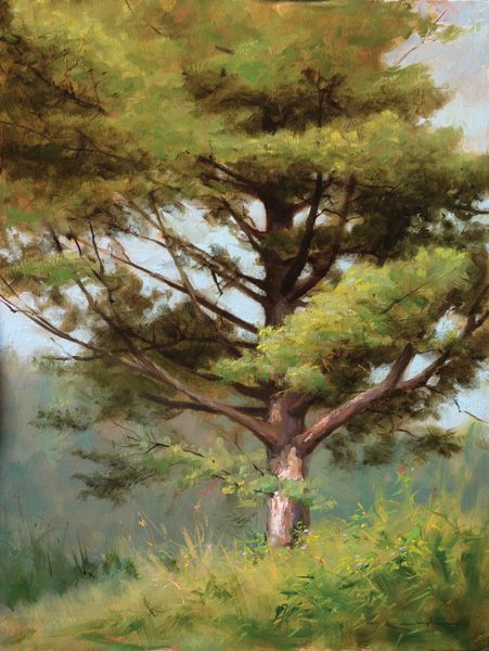Thomas Kegler, White Pine, White Mountains, oil, 16 x 12.