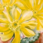 Georgia O’Keeffe, Yellow Cactus, oil, 30 x 36.