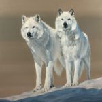 Edward Aldrich, Wolf Pair, oil, 60 x 60.
