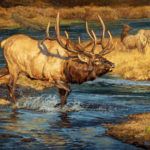 Ryan Kirby, Elk Crossing Guard, oil, 24 x 30.