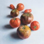 Andrea Simonsen, Tomato, Tomato, oil, 14 x 11.
