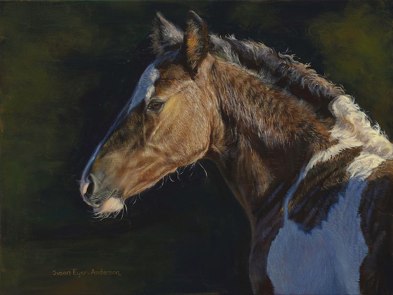 Susan Eyer-Anderson, Unexpected Blessing, oil, 18 x 24.