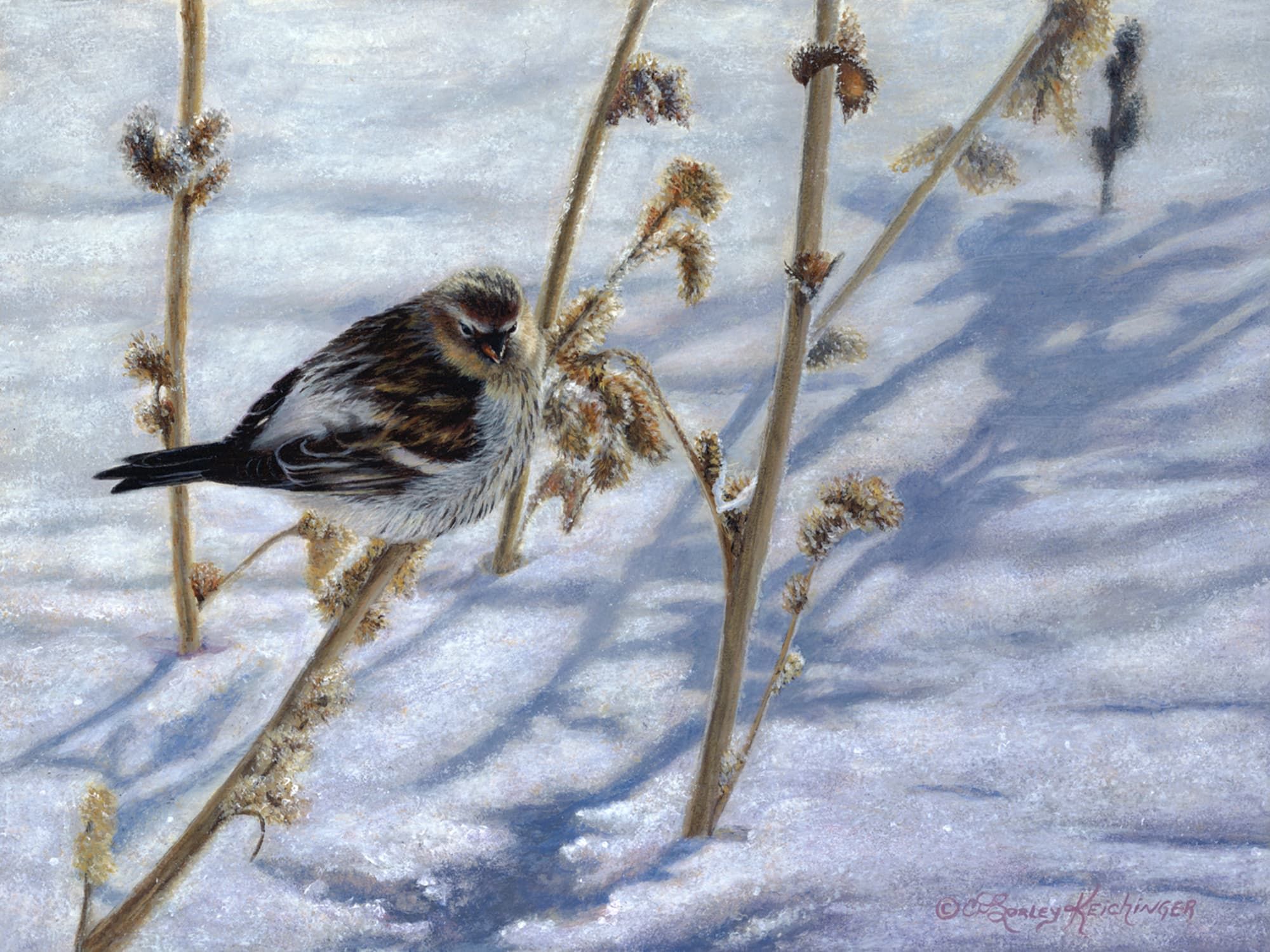 Cindy Sorley-Keichinger, A Touch of Frost, acrylic, 9 x 12.
