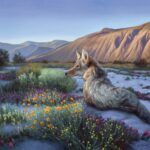 James Corwin, Desert Coyote, oil on canvas, 24 x 30.