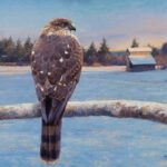 James Tennison, Hawk in Winter, oil on linen, 16 x 20.
