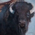Jill Soukup, Bull Head, oil, 36 x 36.