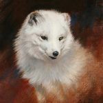 Edward Aldrich, Arctic Fox Portrait, oil, 12 x 10.