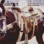 Don Coen, Cheyenne Horse, acrylic, 5 x 7 feet.