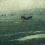 Terry Gardner, Red Buckets and Wet Fields, oil, 36 x 36.
