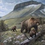 Kasey Nixon, Grizzlies on the Rocky Mountain Frontier, oil, 18 x 24.