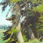 Brad Holt, The Spruce, oil, 12 x 9.