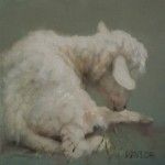 Deb Kaylor, Little Lamb, oil, 6 x 6.