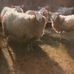 T. Allen Lawson, Backlit Sheep, oil, 20 x 18, collection of Mr. and Mrs. David McCullough.
