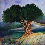 Giuliana Aubert, Lone Olive Tree, oil, 24 x 24.