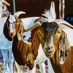 Don Coen, Lamar Goats, oil sticks, 41 x 61.