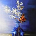 Michelle Condrat, Cobalt Butterfly, oil, 18 x 24.