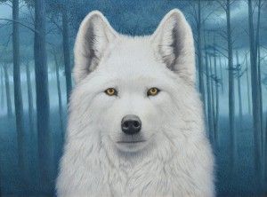 Tom Palmore, White Wolf, oil/acrylic, 30 x 40.