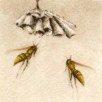 Melanie Fain, Paper Wasps, etching/watercolor, 3 x 3.